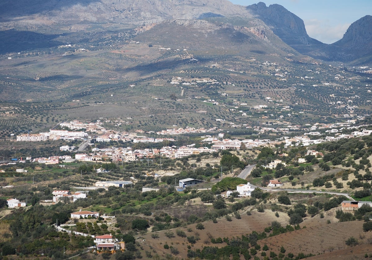 Olivares en la Alta Axarquía, entremezclados con viviendas y núcleos diseminados.