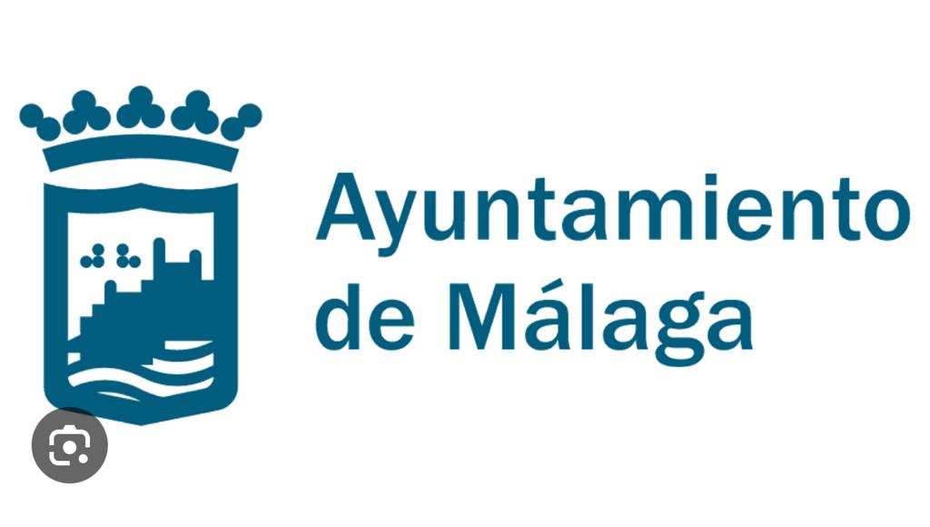 La anterior imagen del Ayuntamiento de Málaga, que sigue vigente en la actualidad.