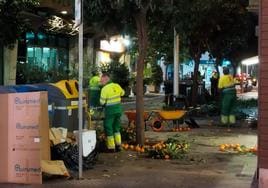 De la calle a los jardines: el curioso recorrido de las naranjas que se recogen en Málaga