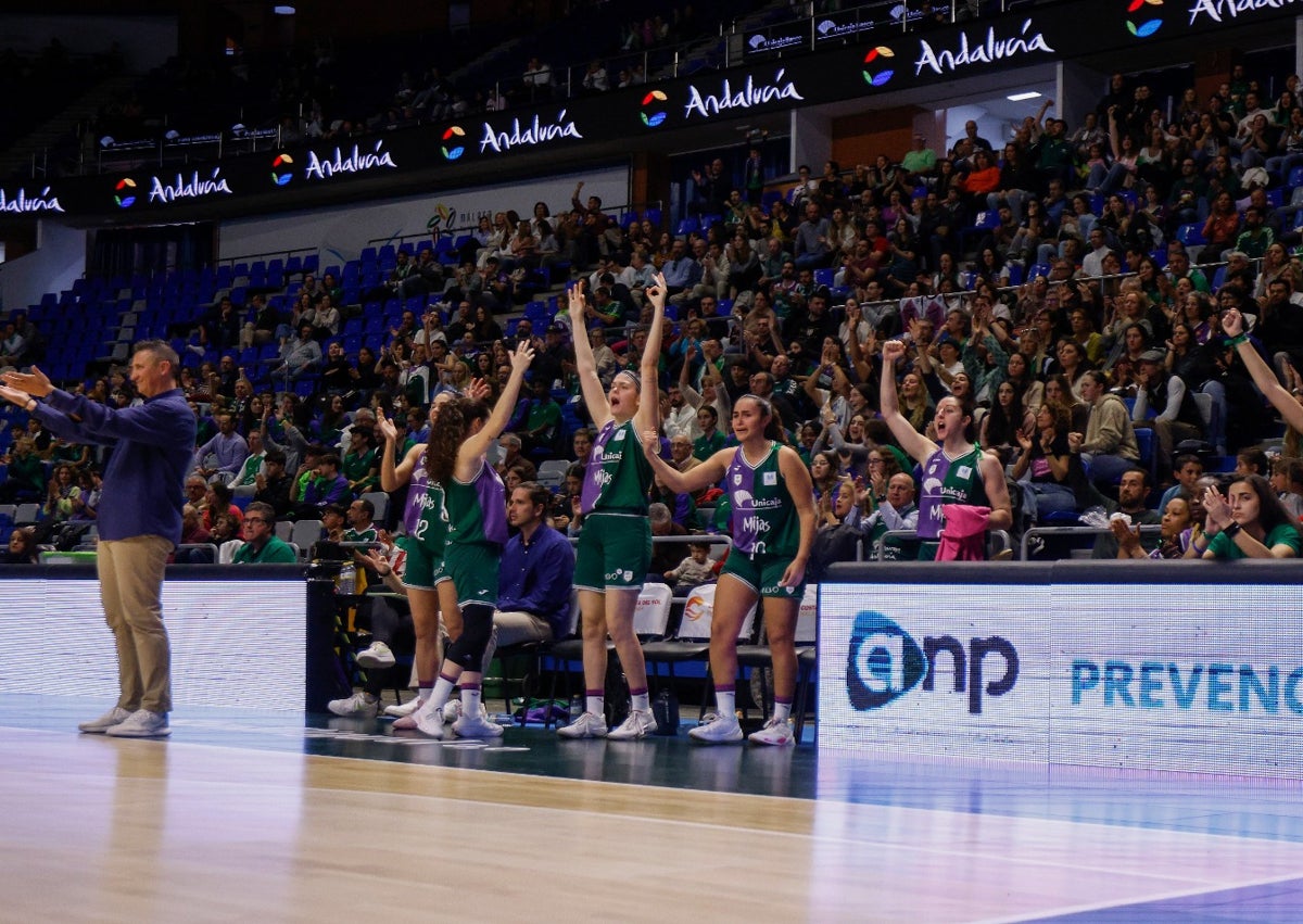 Imagen secundaria 1 - La fiesta del Unicaja Mijas triunfa en el Carpena