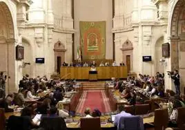 El primer Pleno del Parlamento de 2024 convalidará el cuarto decreto de sequía