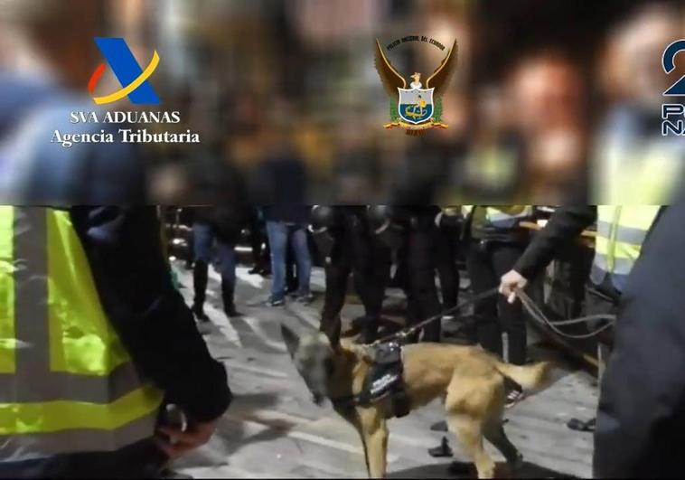 Más de 800 agentes han formado parte del operativo policial para desarticular una red