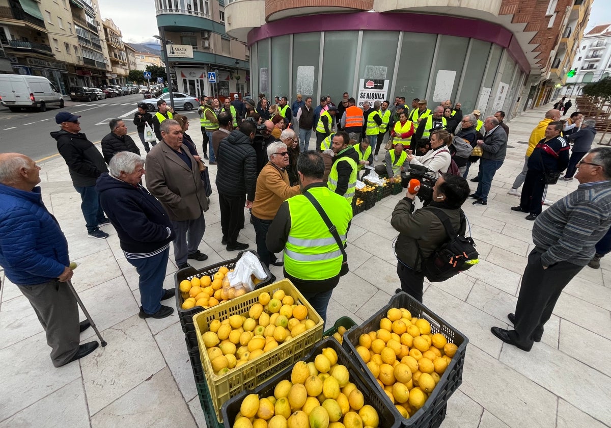 Agricultores, en el reparto gratuito de limones que ha tenido lugar este viernes en Vélez-Málaga.