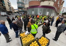 Agricultores, en el reparto gratuito de limones que ha tenido lugar este viernes en Vélez-Málaga.