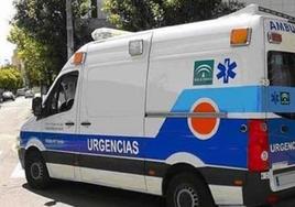 Tres personas evacuadas al hospital por inhalación de humo tras el incendio de una vivienda en Marbella