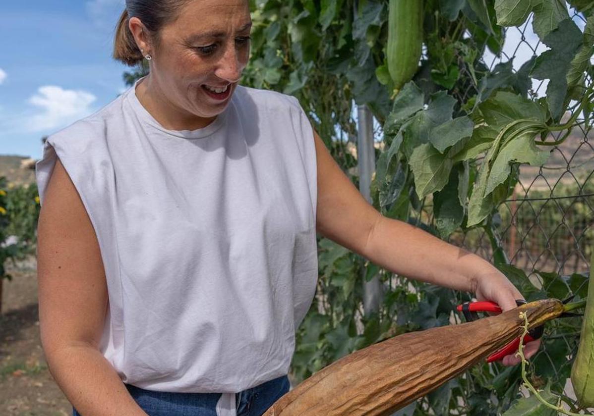 Elisabet Moreno, socia de la empresa, con la planta de luffa.