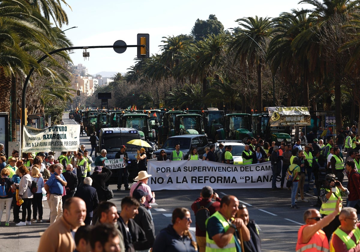 Una imagen del Paseo del Parque, donde se han congregado numerosos tractores, en una nueva jornada de protesta del campo.