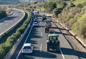 Los tractores ya bajan por Casabermeja de camino a Málaga