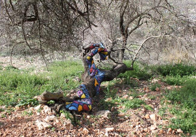 Penúltima muestra de Land Art en este sendero de Colores.