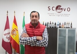 Manuel Cebrián, el presidente de la Cooperativa de Mollina, en su despacho.