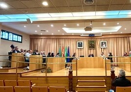 Imagen de un pleno celebrado en esta legislatura en Vélez-Málaga.