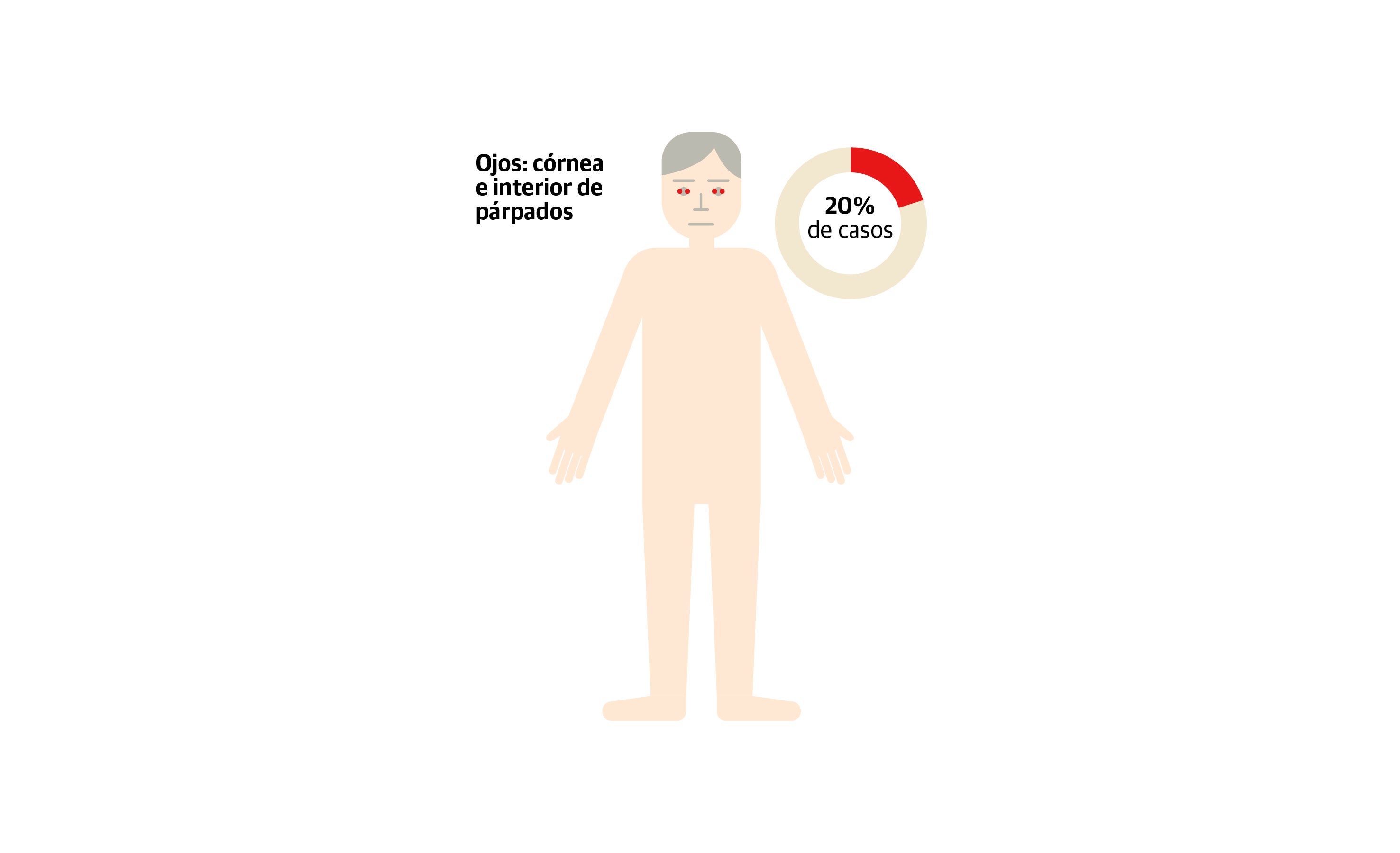 Scroll Story imagen 6