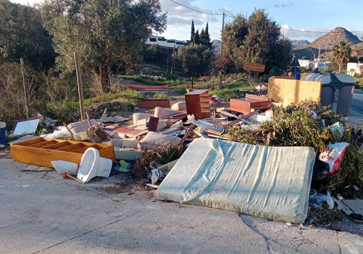 Basura acumulada en los aledaños de la calle Lagarillo.