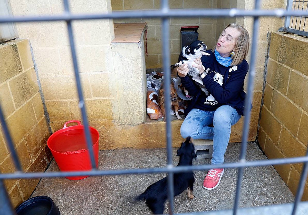 Carmen Manzano, presidenta de la Protectora, juega con un perro en su chenil.