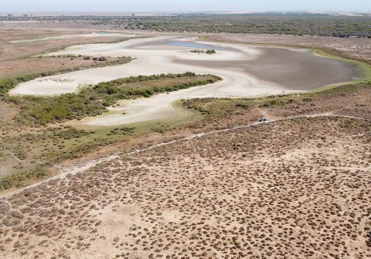 El Gobierno andaluz aborda la creación del comisionado para el acuerdo de Doñana