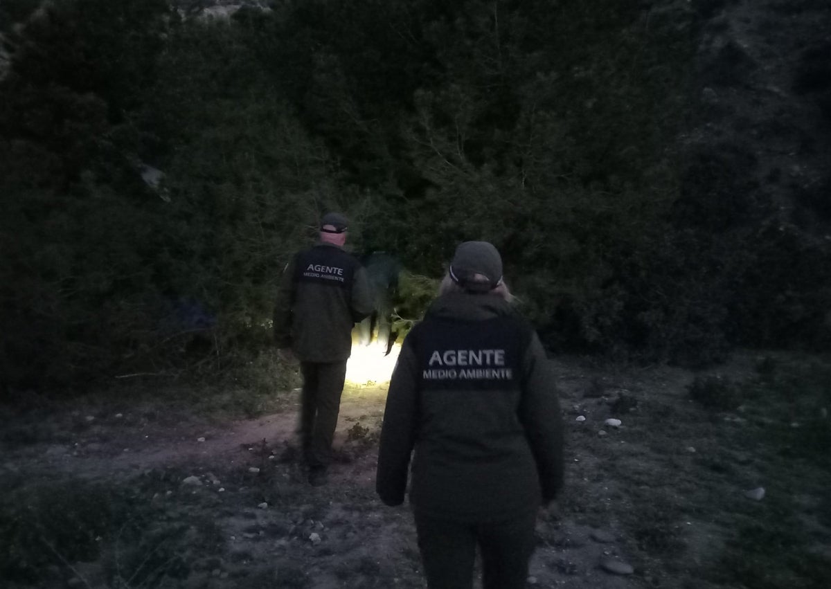 Imagen secundaria 1 - Tres imágenes del operativo desplegado este martes en el paraje natural de los Acantilados de Maro-Cerro Gordo.