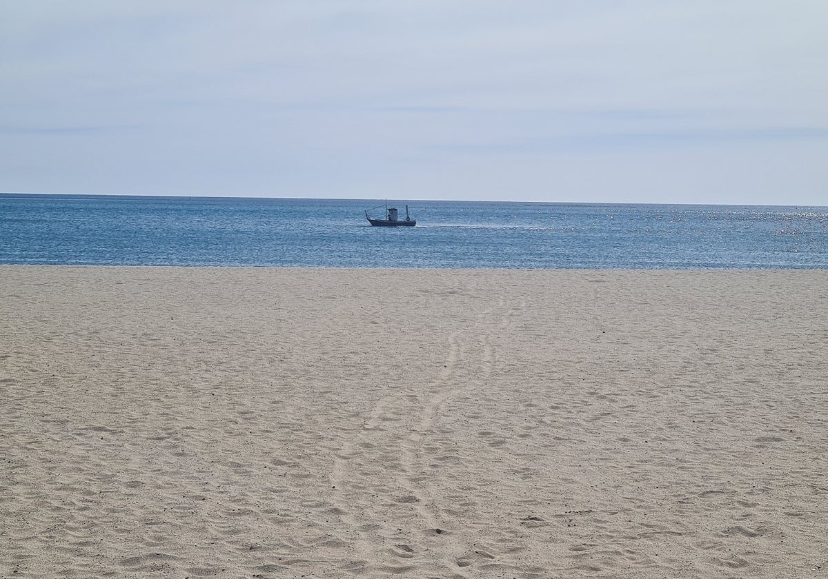 Un pesquero de bajura faena frente a las playas de La Carihuela, en Torremolinos.