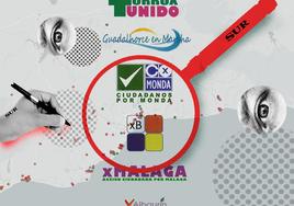 160 partidos políticos registrados en Málaga: sopa de letras en la provincia