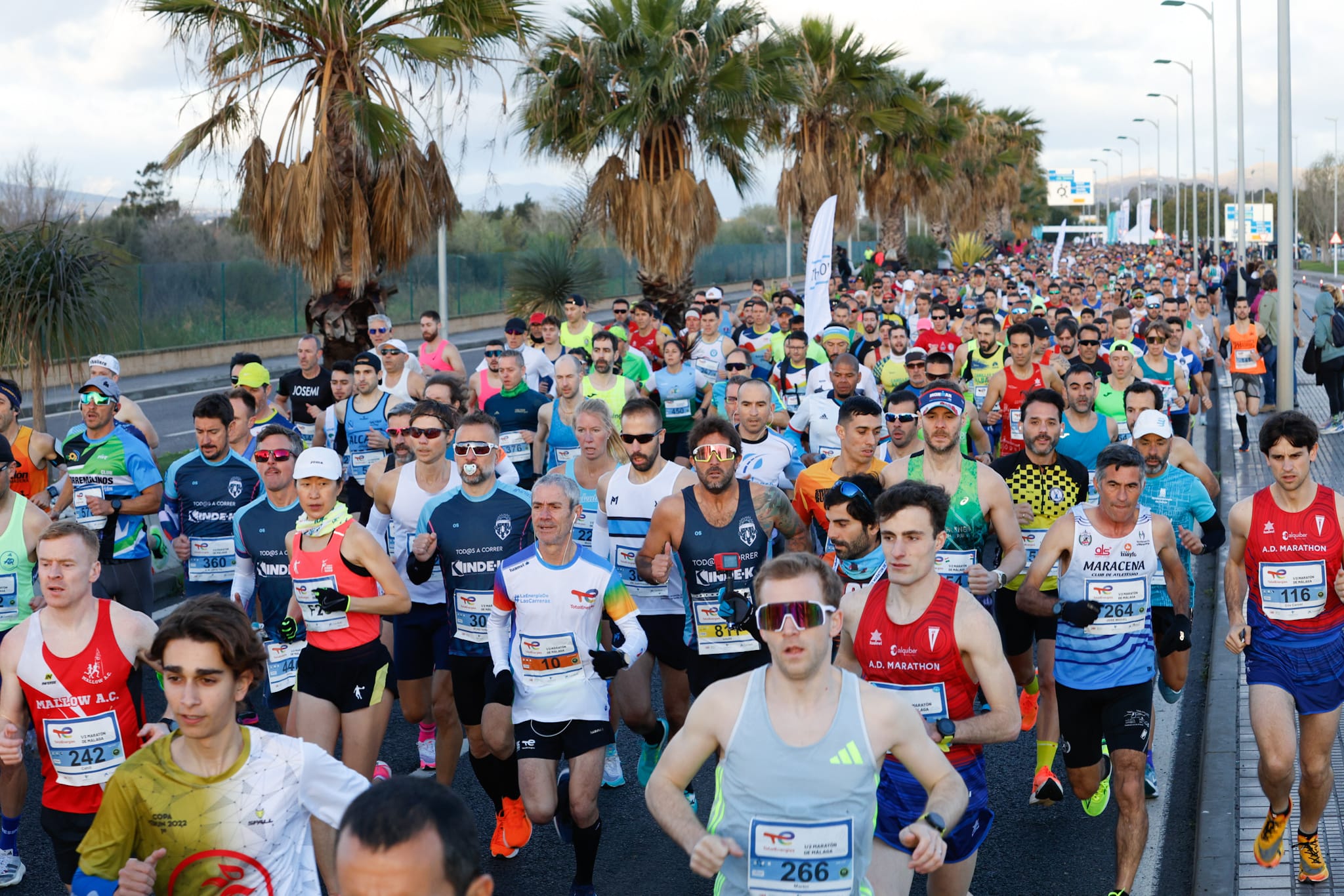 La XXXIII Media Maratón Ciudad de Málaga, en imágenes