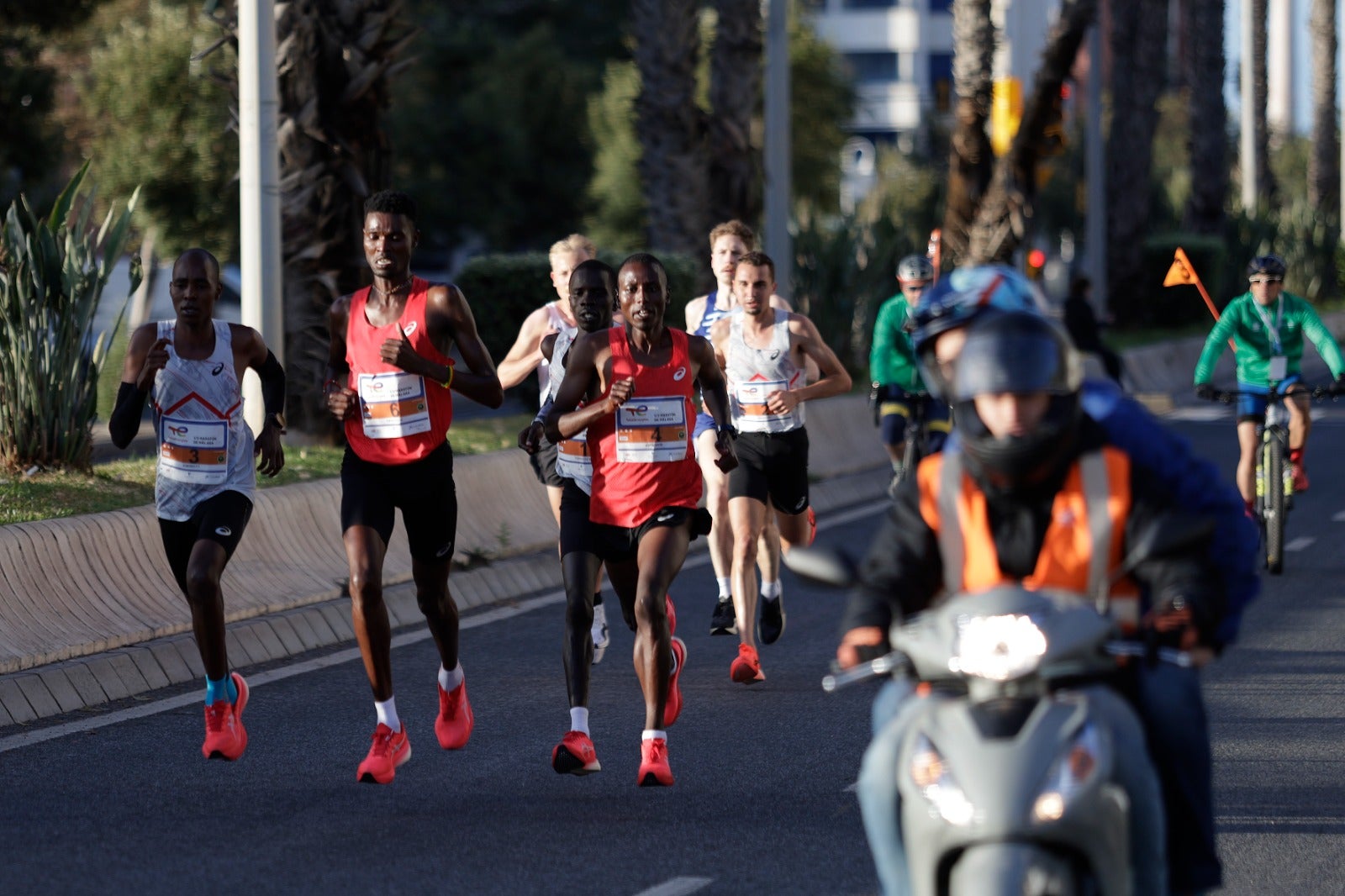 La XXXIII Media Maratón Ciudad de Málaga, en imágenes