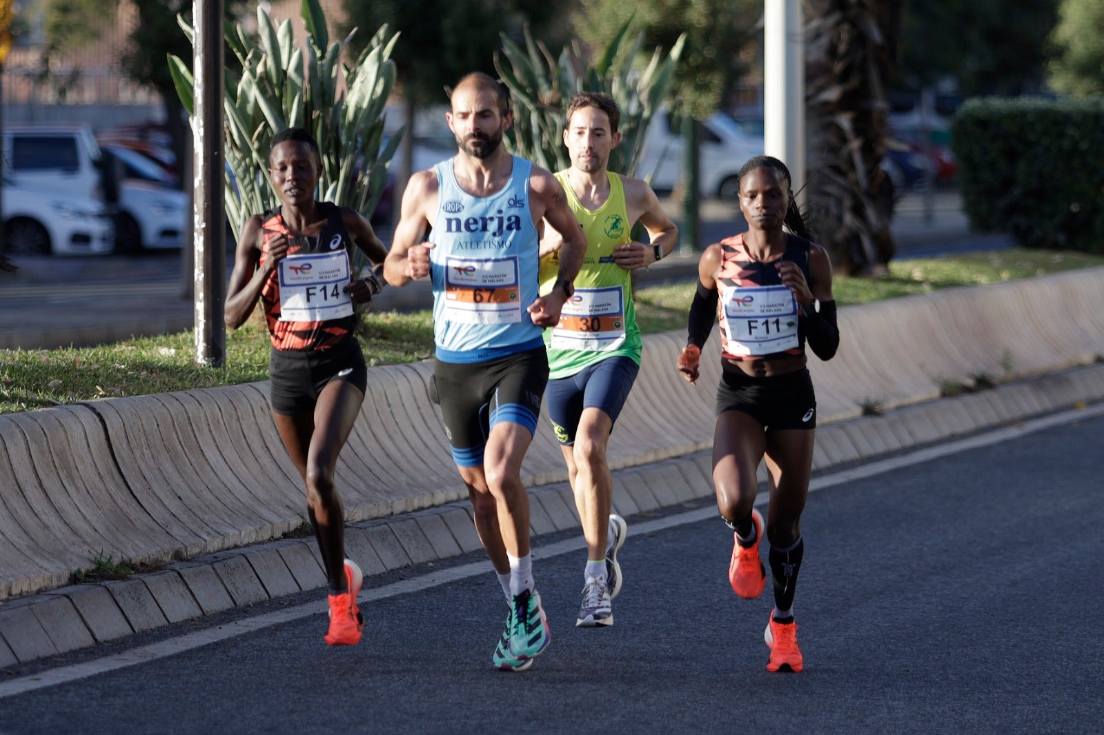 La XXXIII Media Maratón Ciudad de Málaga, en imágenes