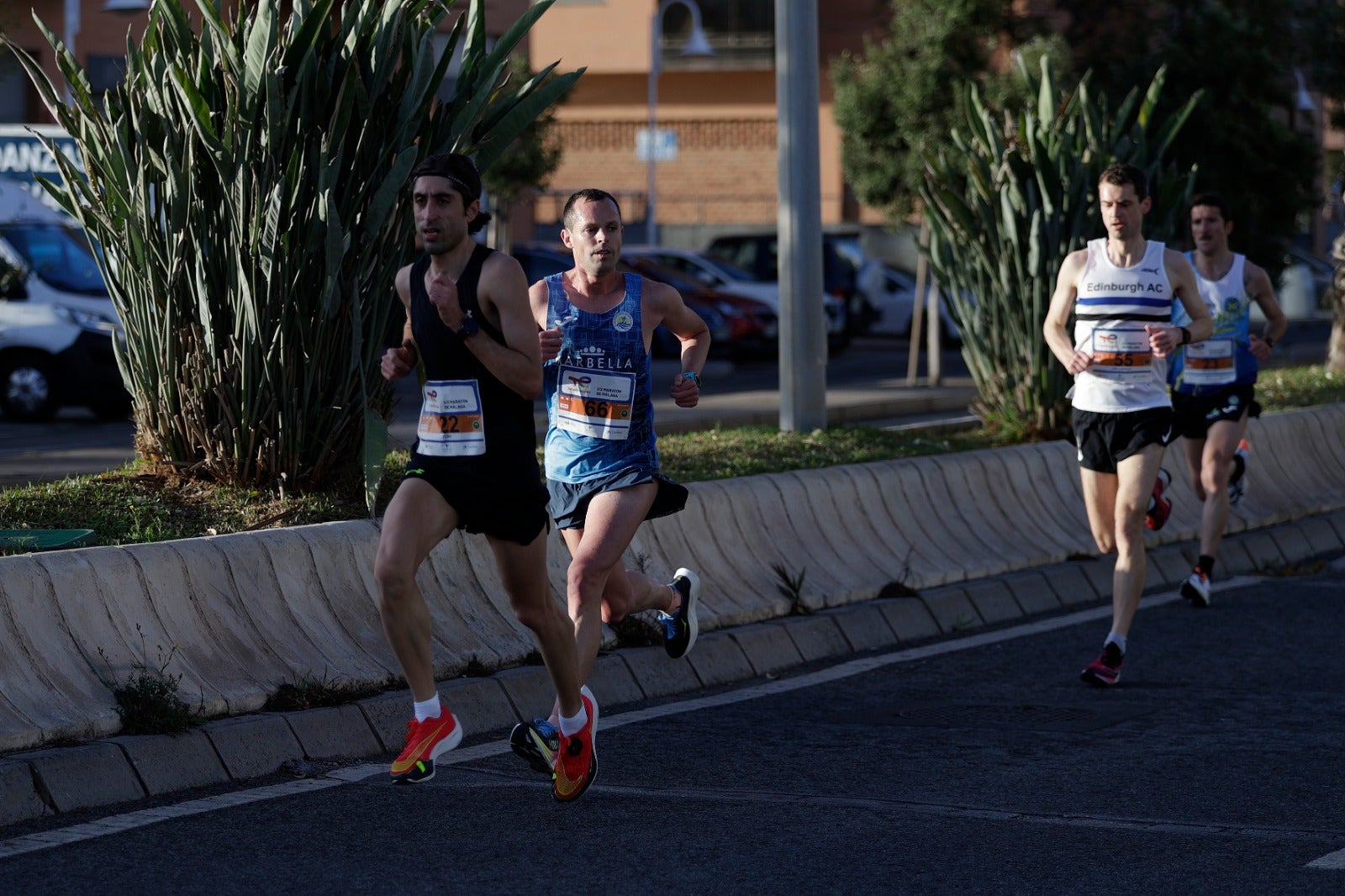 La XXXIII Media Maratón Ciudad de Málaga, en imágenes