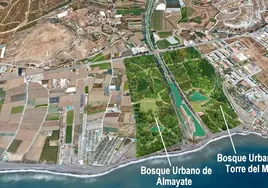Imagen virtual de cómo quedaría el bosque urbano en la desembocadura del río veleño.