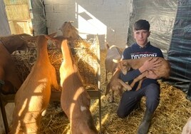 David Tomé, torroxeño de 17 años, este viernes con sus cabras en el corral.
