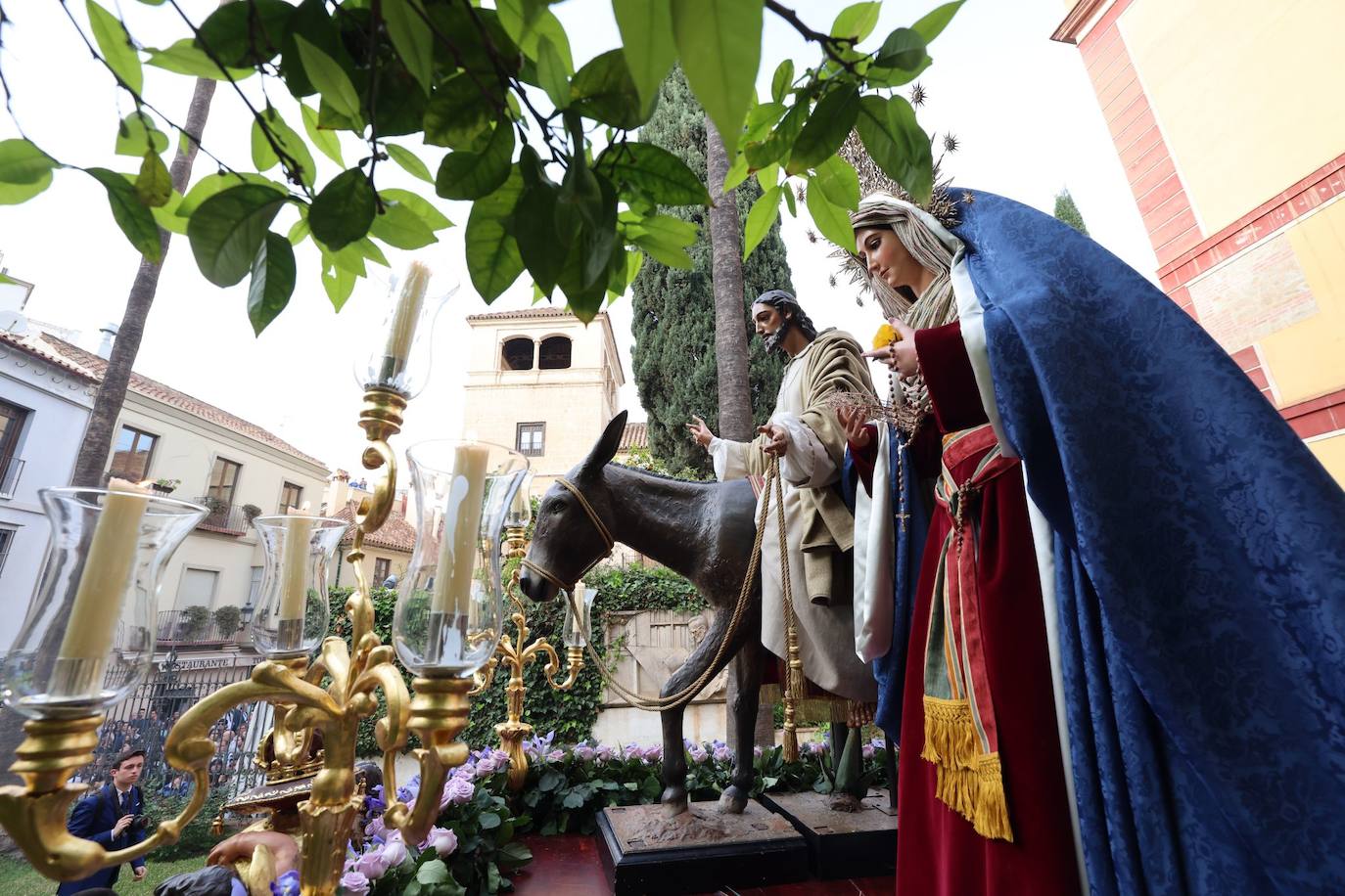 Traslado de Nuestro Padre Jesús a su Entrada en Jerusalén, María Santísima del Amparo y San Juan Evangelista (Pollinica).