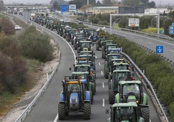 Estas serán las movilizaciones del campo andaluz para esta nueva semana en Andalucía