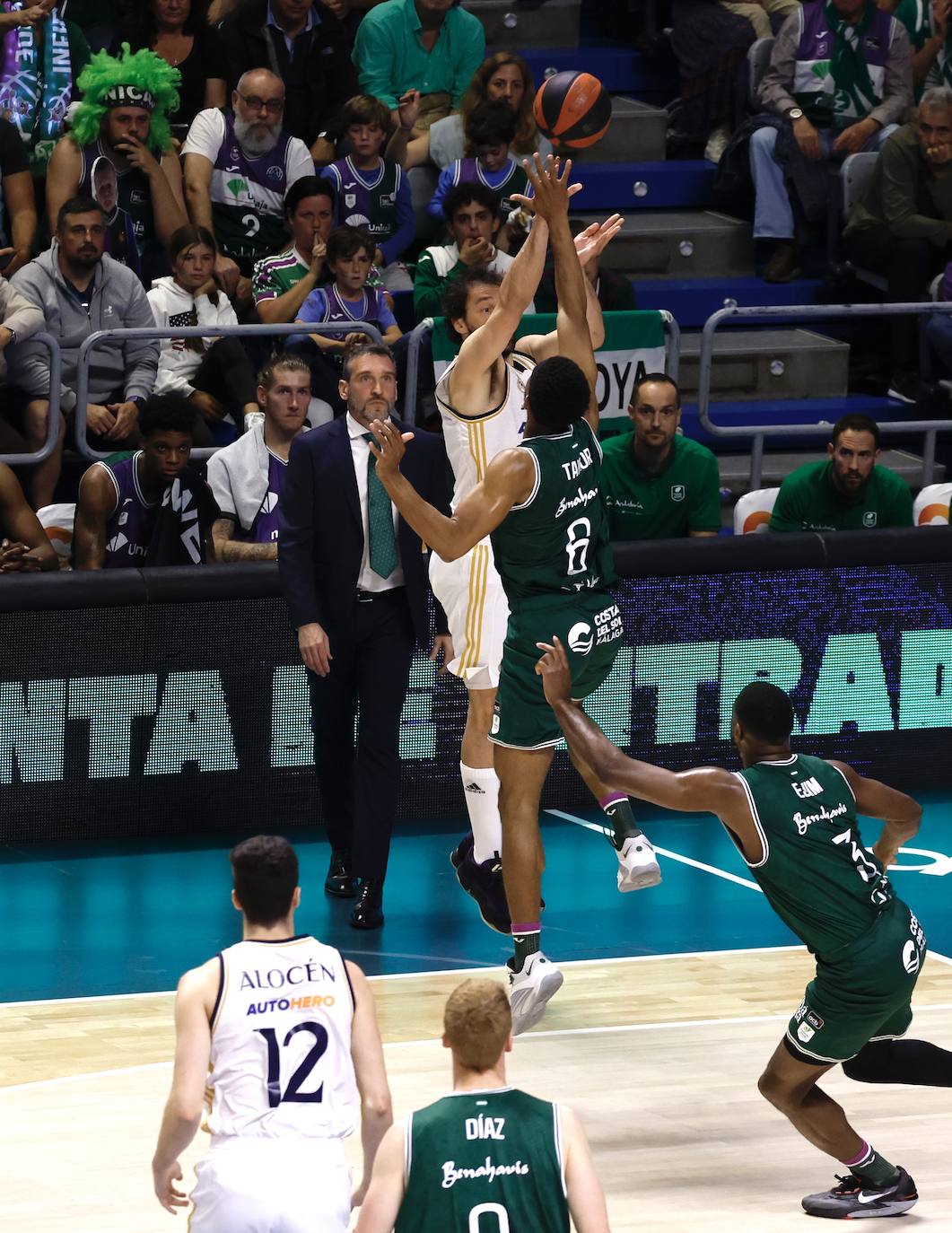 Las mejores imágenes del Unicaja-Real Madrid en el Martín Carpena