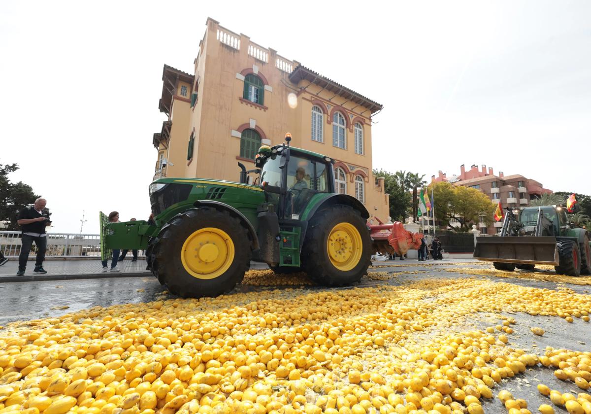 Protesta en Málaga, días atrás.