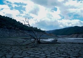 Vista del pantano de La Concepción tras el episodio de lluvias de hace diez días.