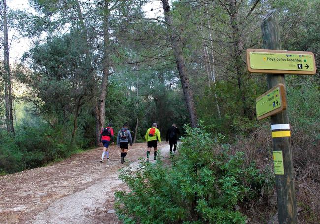 La Vereda del Faro está incluida en la red de senderos de Sierra Blanca.