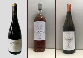 La cata: los vinos recomendados de la cuarta semana de marzo