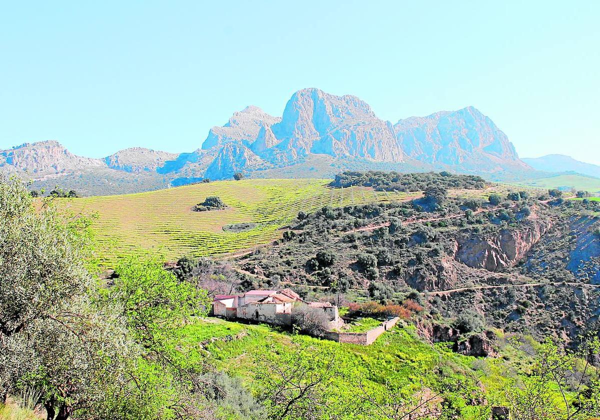 Al antiguo cortijo de Auta se puede acceder hoy gracias a la décima etapa de la Gran Senda de Málaga.