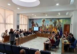 Votación en el pleno de la Corporación Municipal de Rincón.