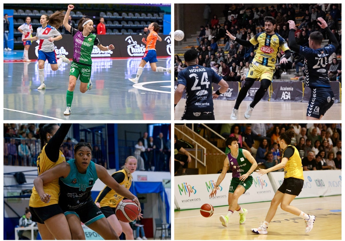 Polideportivo malagueño: Victorias cruciales del Nueces de Ronda Atlético Torcal y del Trops Málaga