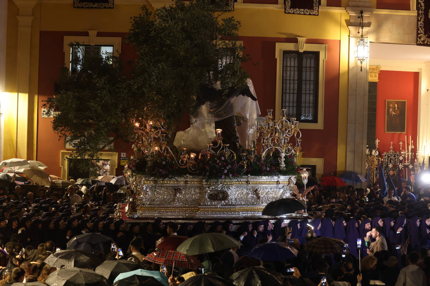 Las mejores imágenes del Domingo de Ramos en Málaga