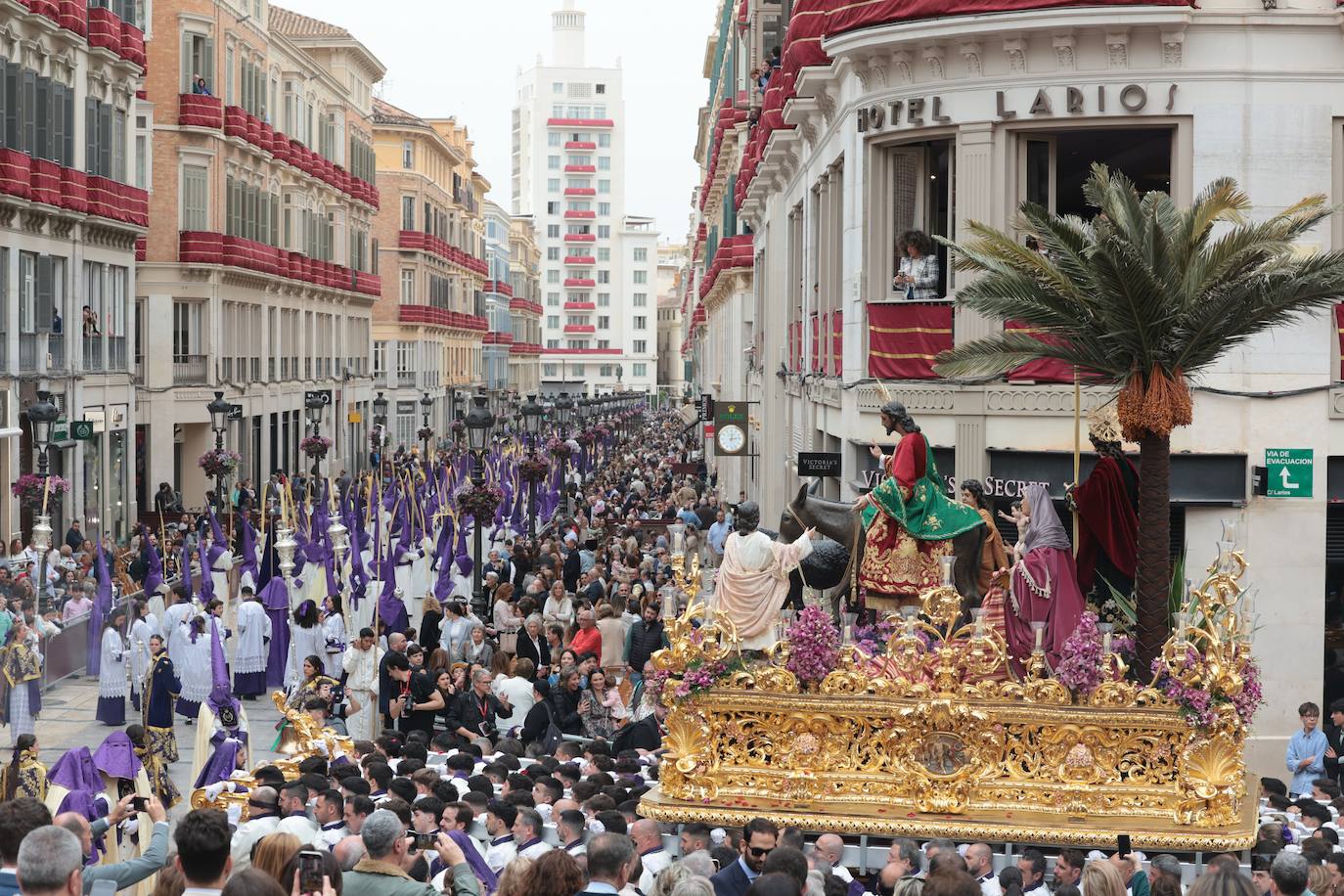 La Pollinica, este Domingo de Ramos en Málaga