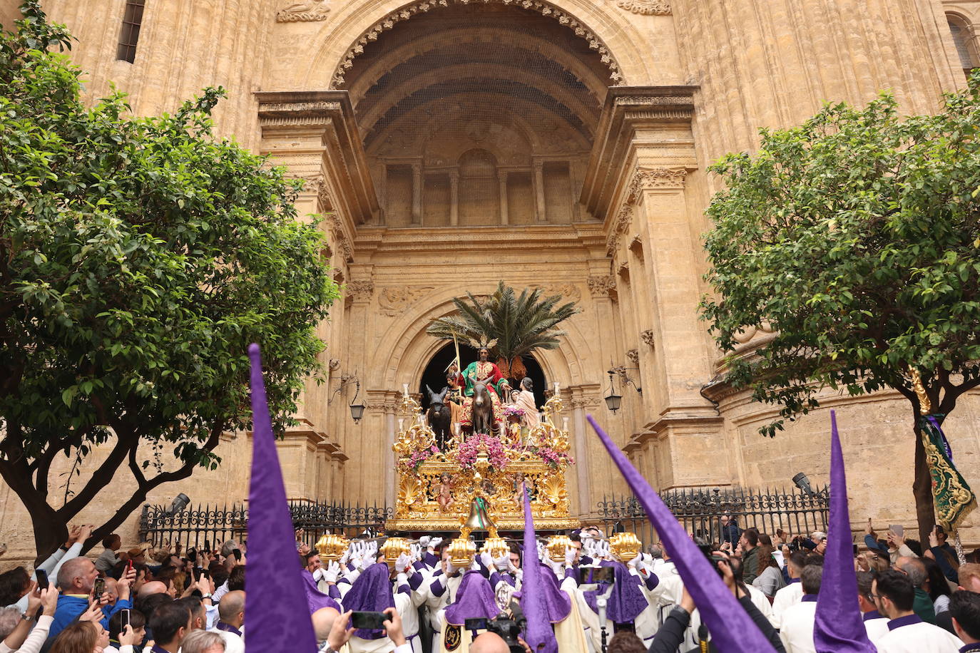 Pollinica, en la Catedral de Málaga, este Domingo de Ramos