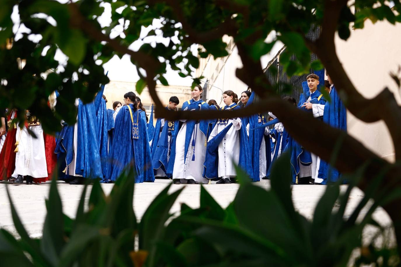 Prendimiento. Domingo de Ramos, en Málaga