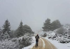 Imagen de la Sierra de las Nieves este Martes Santo.