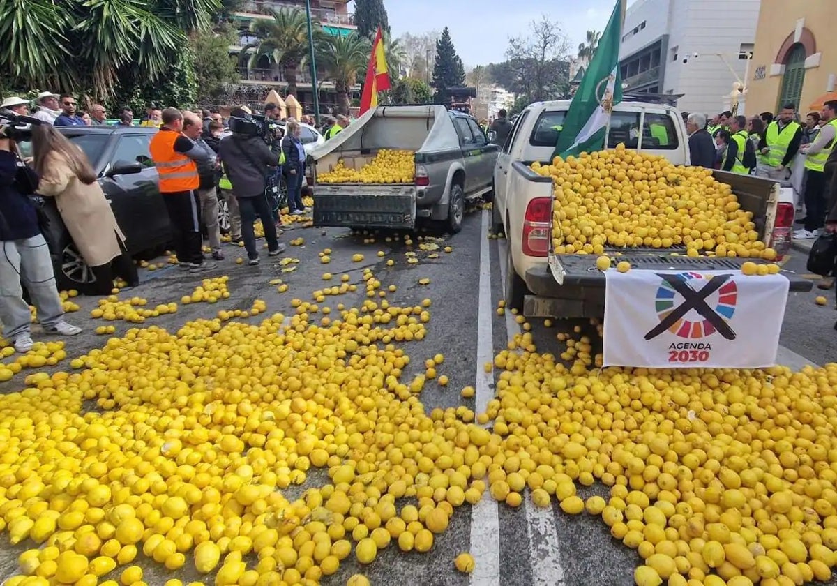 Imagen de las últimas protestas, frente a la Subdelegación del Gobierno.