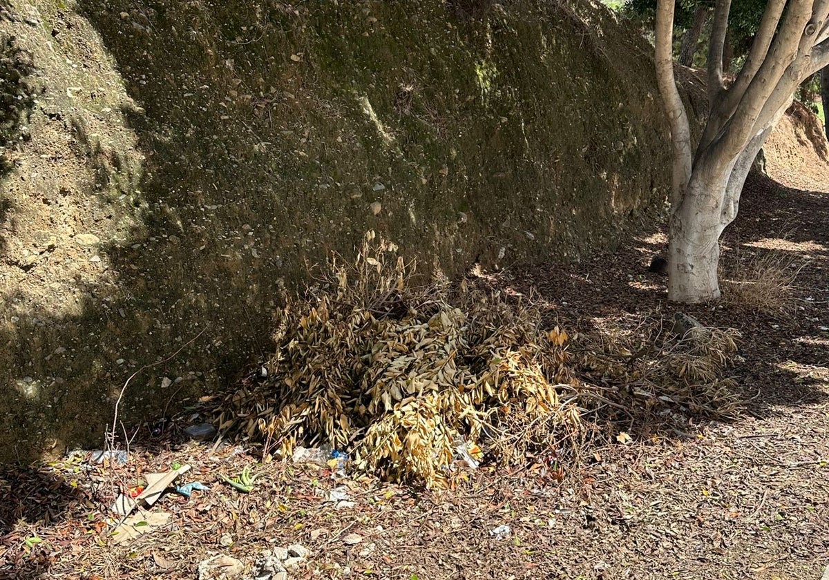 Acumulación de brozas y basura en la calle Benito Menni.