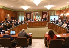El pleno rechazó ayer solicitar que el nombre de Vigil de Quiñones se mantenga en el Hospital Militar de Sevilla. Josele