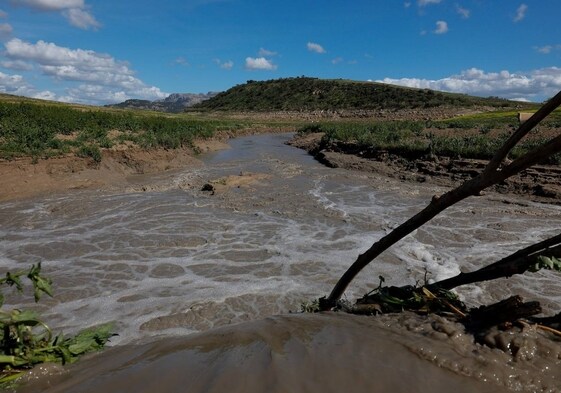 Cola del embalse del Guadalteba, este lunes por la tarde.