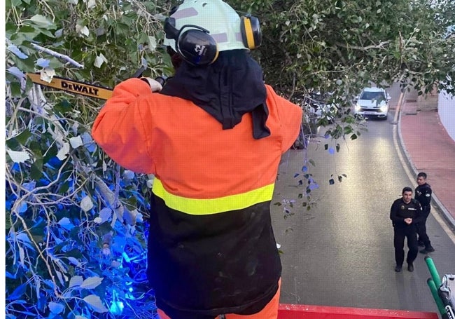 Un bombero trabaja en la retirada de la rama.