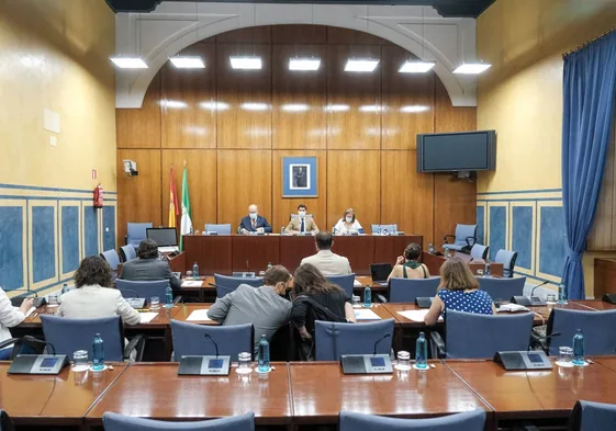 Comisión de investigación de la Faffe durante la pasada legislatura en el Parlamento.