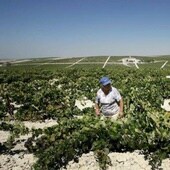 La Junta inyecta liquidez al sector agrario andaluz con 500 millones en ayudas